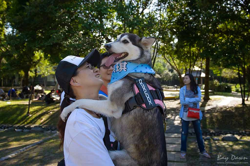 婚攝小動、婚攝推薦、活動紀錄、哈士奇、雪橇