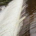 REGIÃO / Barragem de Cachoeira Grande transborda com às fortes chuvas