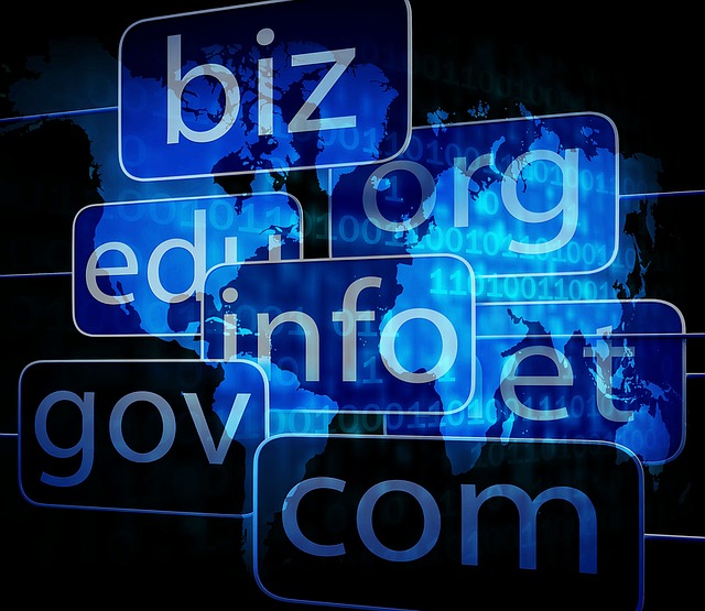 Bingung Memilih Nama Domain? Inilah 10 Tips Memilih Nama Domain yang Tepat untuk Blog Anda