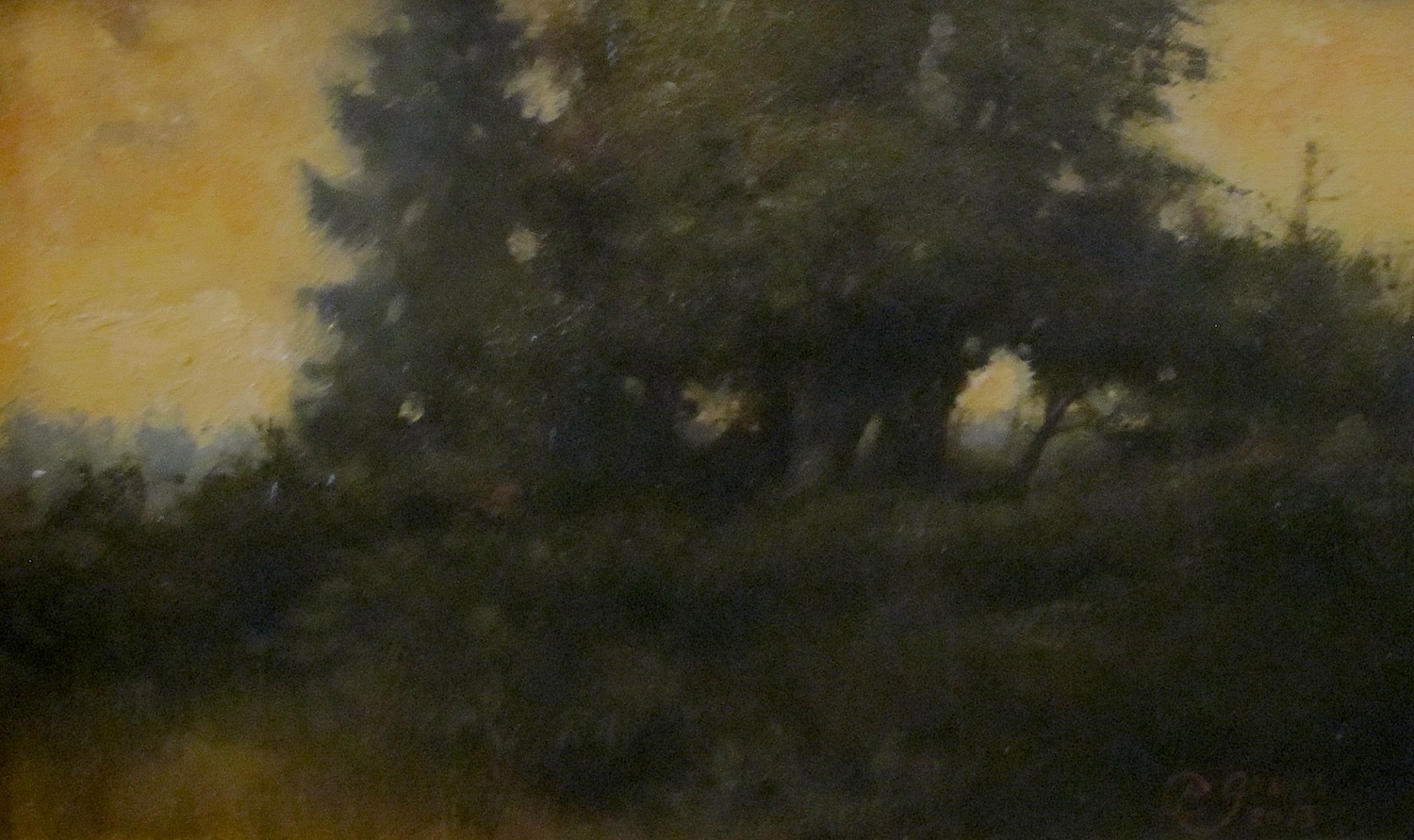 All Categories Apalonloop