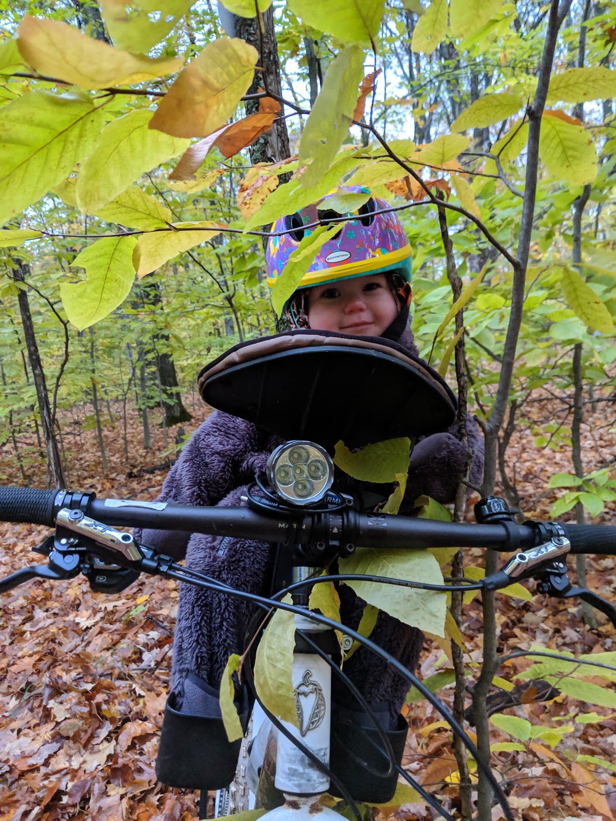 Product Review Weeride Deluxe Kangaroo Bike Carrier