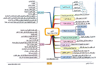 اقوى 5 خرائط ذهنية للحصول على الدرجة النهائية فى التعبير للثانوية العامة %25D9%2585%25D8%25B1%25D8%25A7%25D8%25AC%25D8%25B9%25D8%25A9%2B%25D8%25A7%25D9%2584%25D9%2586%25D9%2587%25D8%25A7%25D8%25A6%25D9%258A%25D8%25A9%2B%25D9%2584%25D9%2584%25D8%25BA%25D8%25A9%2B%25D8%25A7%25D9%2584%25D8%25B9%25D8%25B1%25D8%25A8%25D9%258A%25D8%25A9%2B%25D9%2584%25D9%2584%25D8%25B5%25D9%2581%2B%25D8%25A7%25D9%2584%25D8%25AB%25D8%25A7%25D9%2584%25D8%25AB%2B%25D8%25A7%25D9%2584%25D8%25AB%25D8%25A7%25D9%2588%25D9%258A%2B%25D8%25A8%25D8%25A7%25D9%2584%25D8%25AE%25D8%25B1%25D8%25A7%25D8%25A6%25D8%25B7%2B%25D8%25A7%25D9%2584%25D8%25B2%25D9%2587%25D9%2586%25D9%258A%25D8%25A9_006