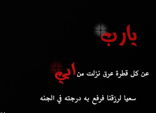 15973hlmjo