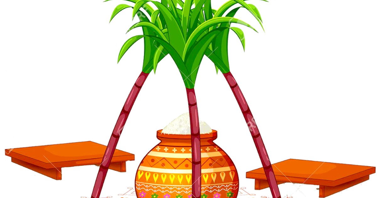 Pongal Festival Design Elements Free download-High Quality Pongal Pot