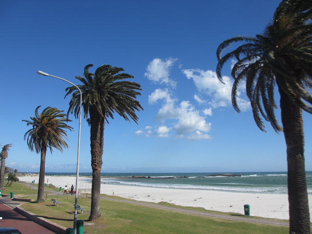 DICAS de viagem para a visitar a CIDADE DO CABO (e os os melhores lugares) | África do Sul