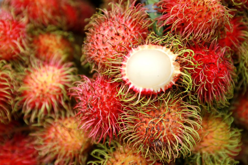 Top 5 Spiky Fruit You should Know In 2020 Children's Books, Kids