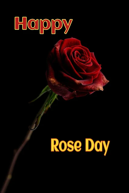 Happy rose day in bengali