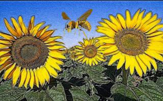 día-mundial-de-las-abejas-polinización-en-riesgo-de-extinción