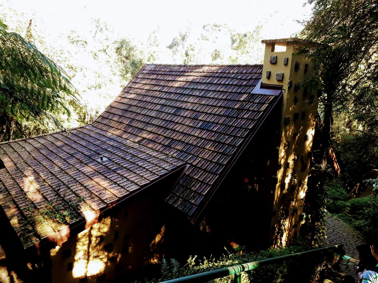 Casa da Bruxa e Trilhas no Bosque Alemão de Curitiba