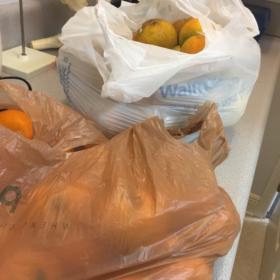 The Fairhope Inquisitor State of Alabama puts city of Satsuma in a Wal