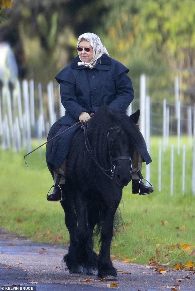 Rainha Isabel II volta a montar a cavalo depois de aparecer publicamente  com uma bengala – Observador