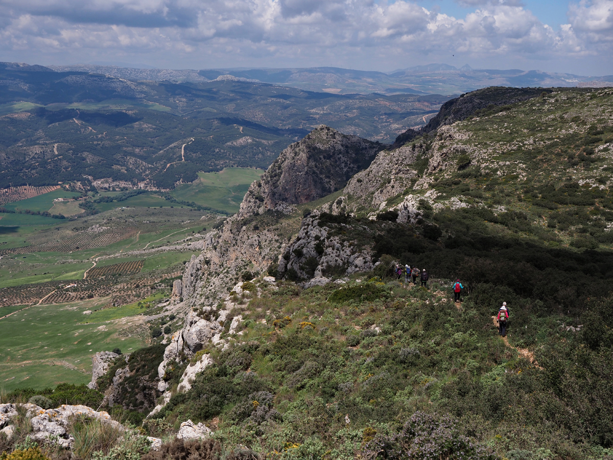 Vinoteca Andarina 2 17 de abril Sierra de Alcaparaín