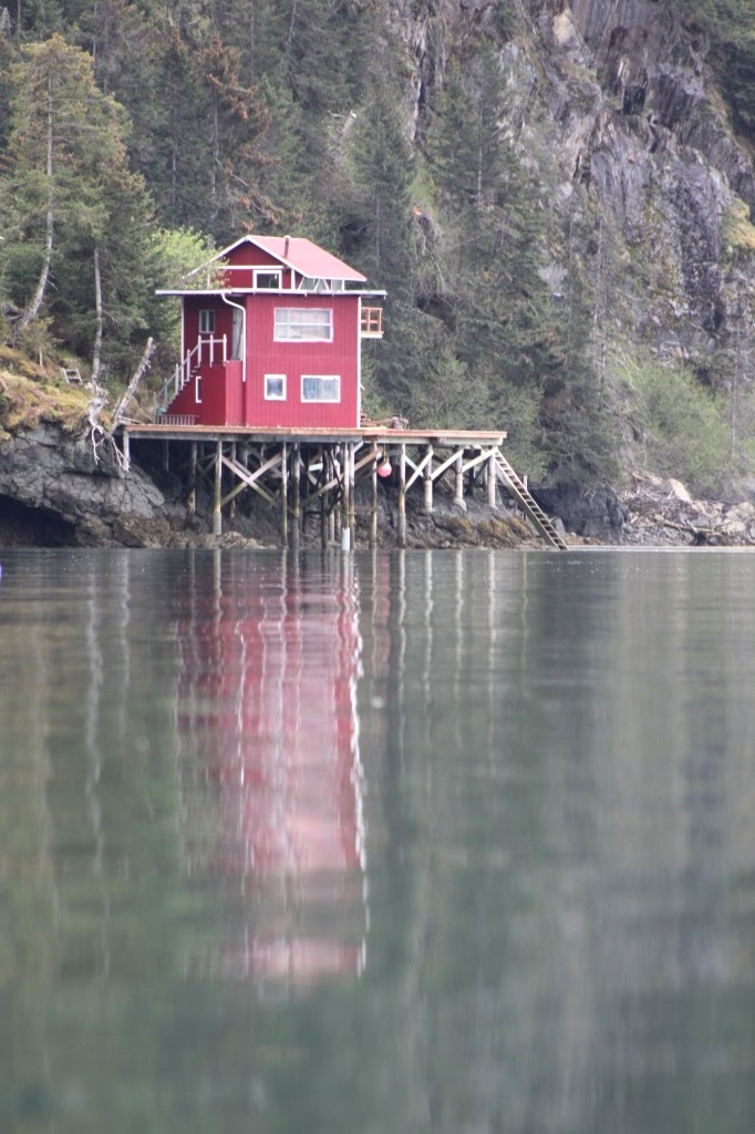 each day an adventure in alaska halibut cove lagoon...act 2...