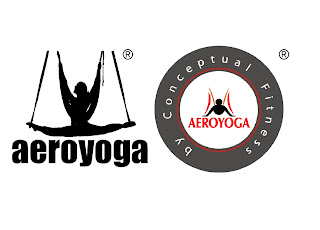 aeroyoga, yoga aéreo, aeropilates, pilates aéreo, aerofitness, fitness aéreo, cursos yoga aéreo, clases yoga aéreo