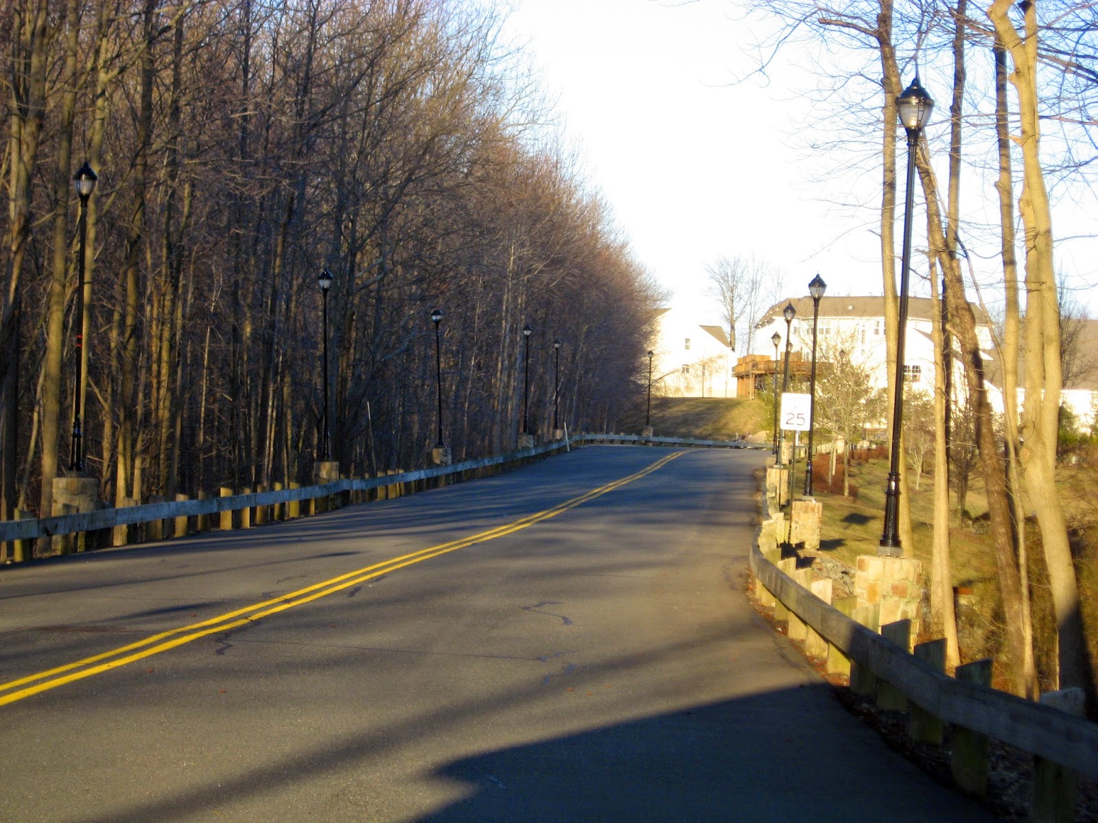 What used to be The Birch Hill Nightclub entrance roadway from Route 9 south Old Bridge, NJ  March 2015