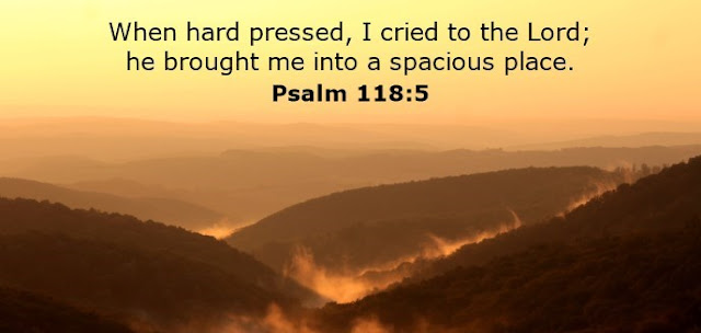 When hard pressed, I cried to the Lord; he brought me into a spacious place. 