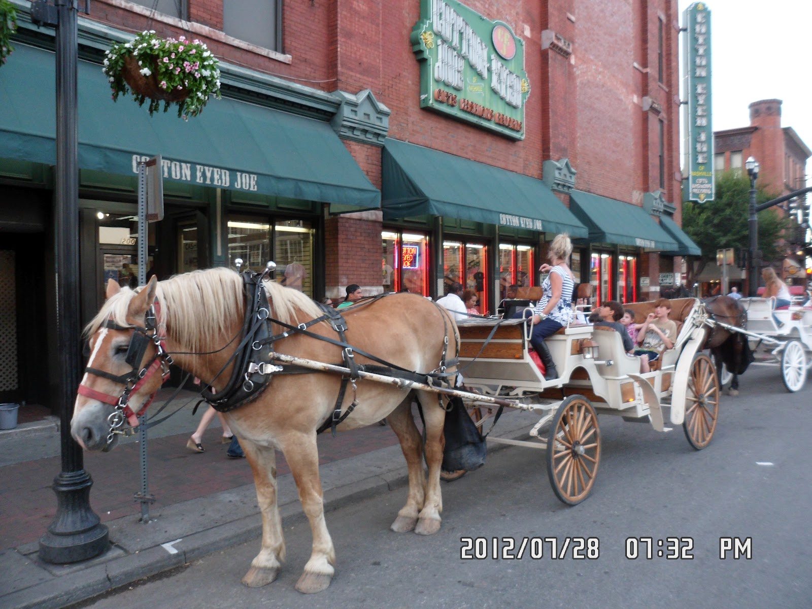 Sugar Creek Carriages Horse Drawn Carriage Tours Nashville TN