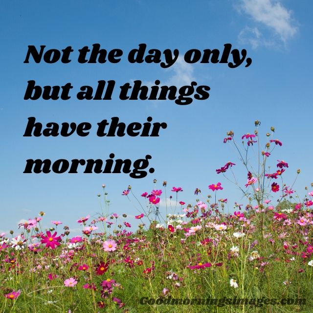 beautiful morning images