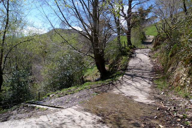 Pista de Pesquerín a Corralín - Piloña - Asturias Pista de Pesquerín a Corralín - Piloña - Asturias