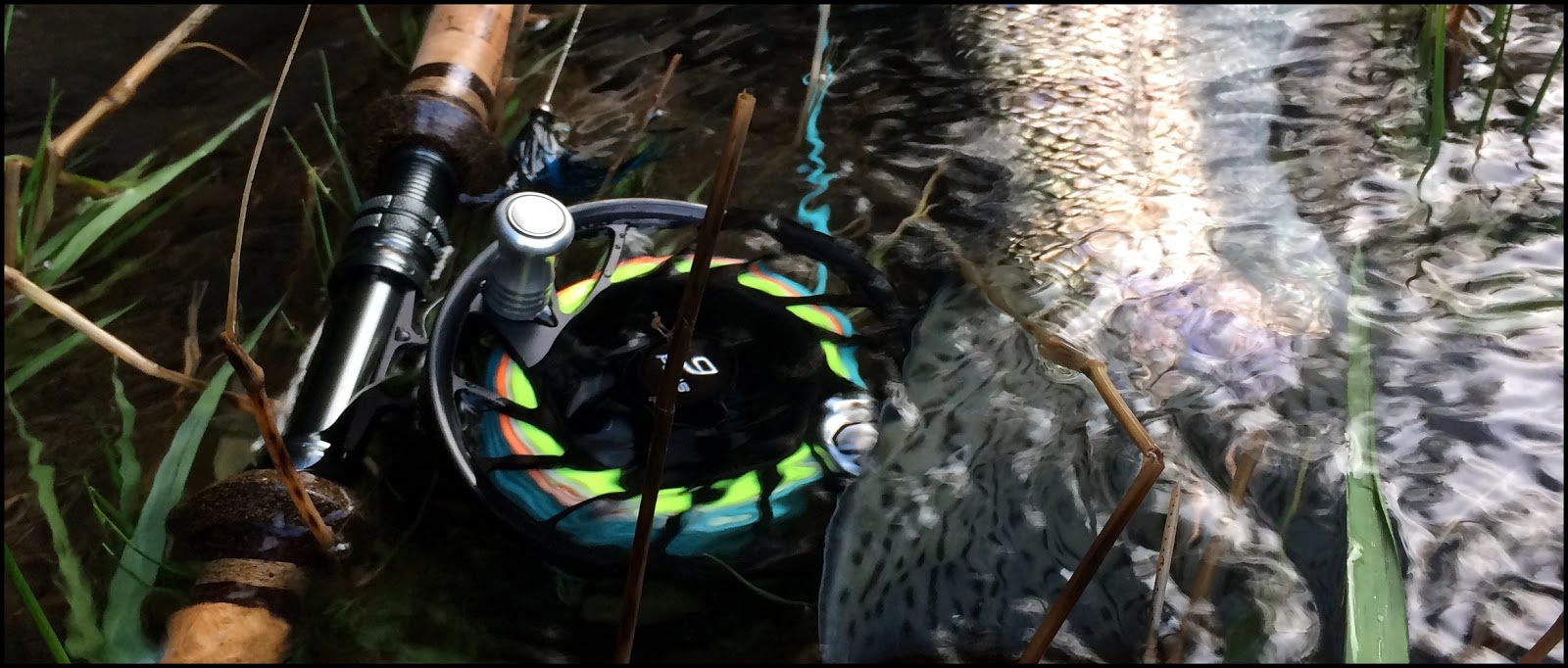 Gorge Fly Shop Blog: Why I fish Hatch Fly Reels