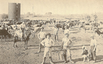 Photograph - Greek Farm in California - circa 1913