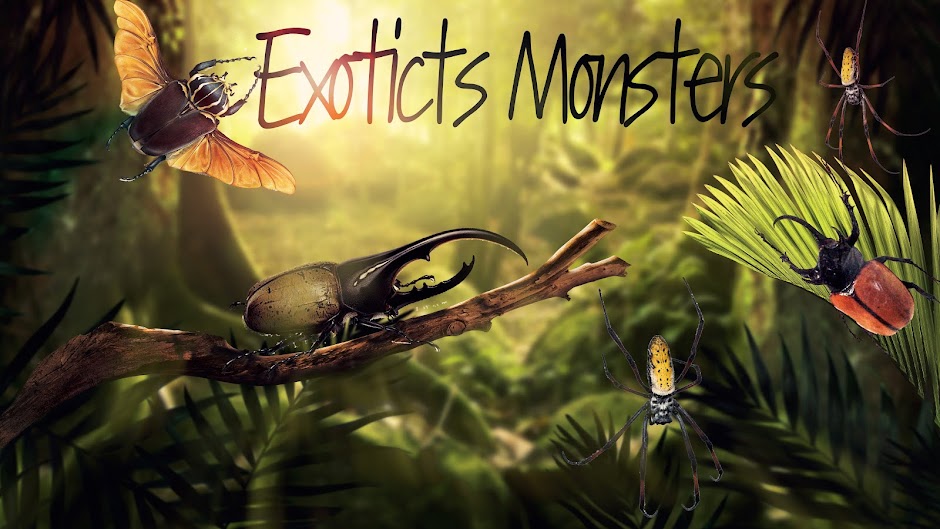 venta de dynastes hercules venta de megasoma elephas ExoticsMonsters larva sale