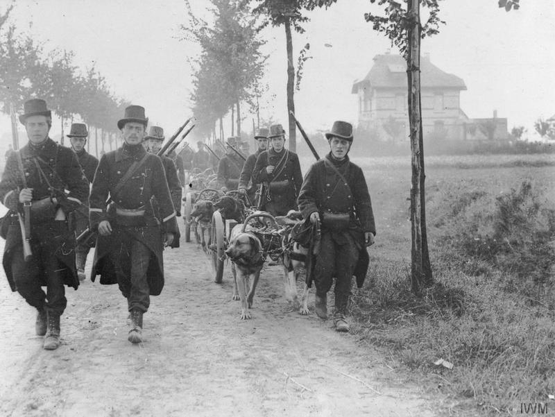 36 Amazing Historical Pictures. #9 Is Unbelievable - Belgian light artillery towed by dog teams, Western Front 1914.