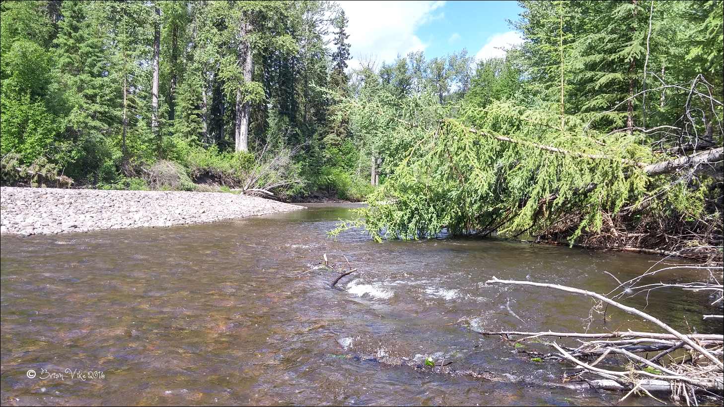 Northern Interior British Columbia June Photos Buck Creek Houston