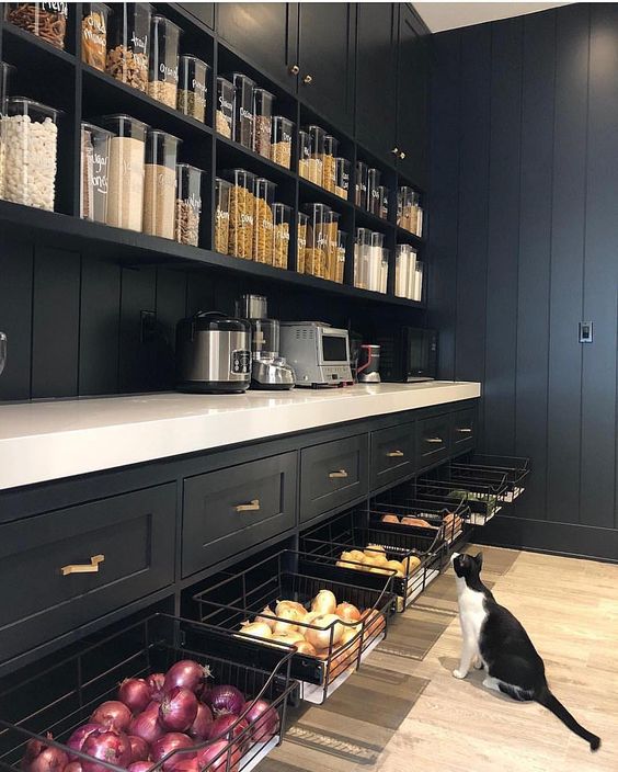10 Inspiring Black Pantry For Your Organized Kitchen