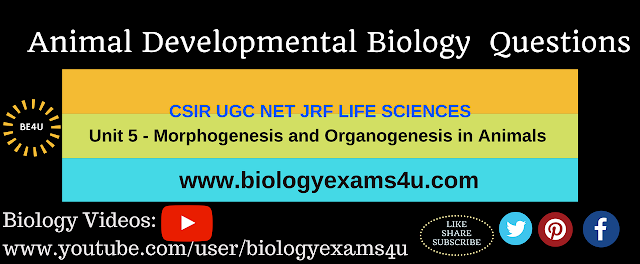 CSIR Life sciences Animal Developmental Biology Questions