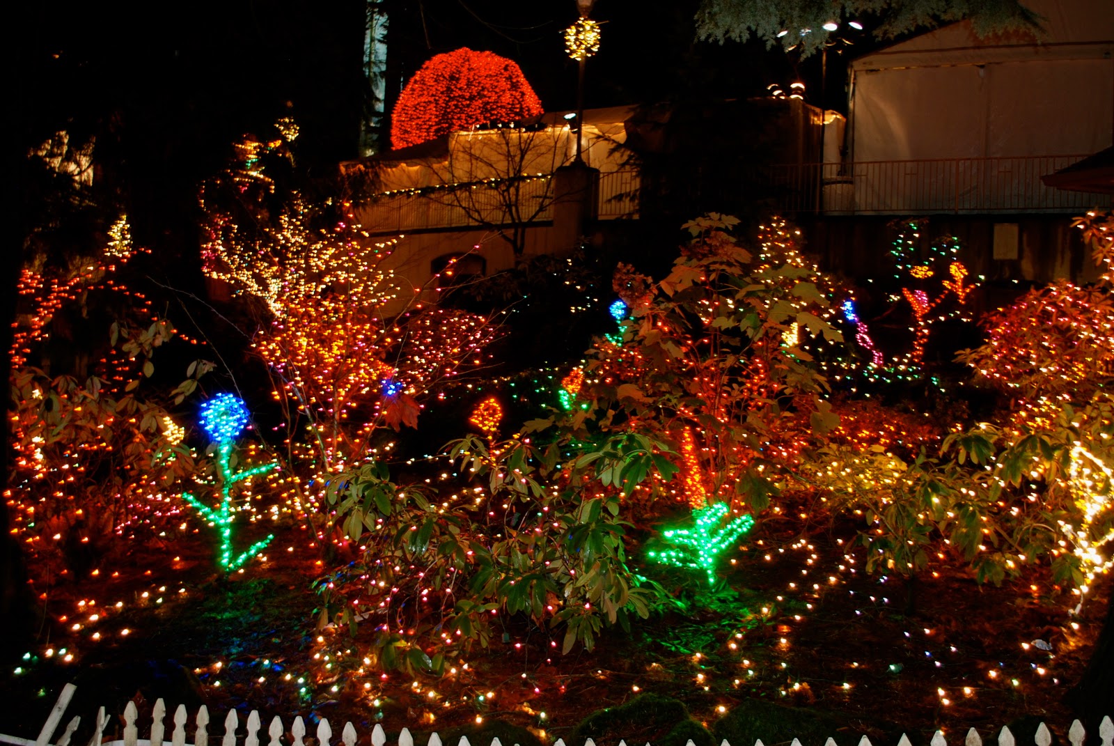 Wanderlove and Roses Must See Portland's Grotto Festival of Lights