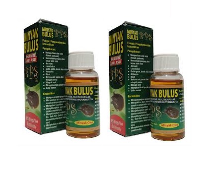 kandungan dan manfaat minyak bulus bps asli kandungan dan manfaat minyak bulus bps asli
