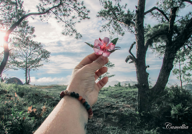 Thơ tình yêu trên facebook, Các bài thơ tình Facebook hay nhất