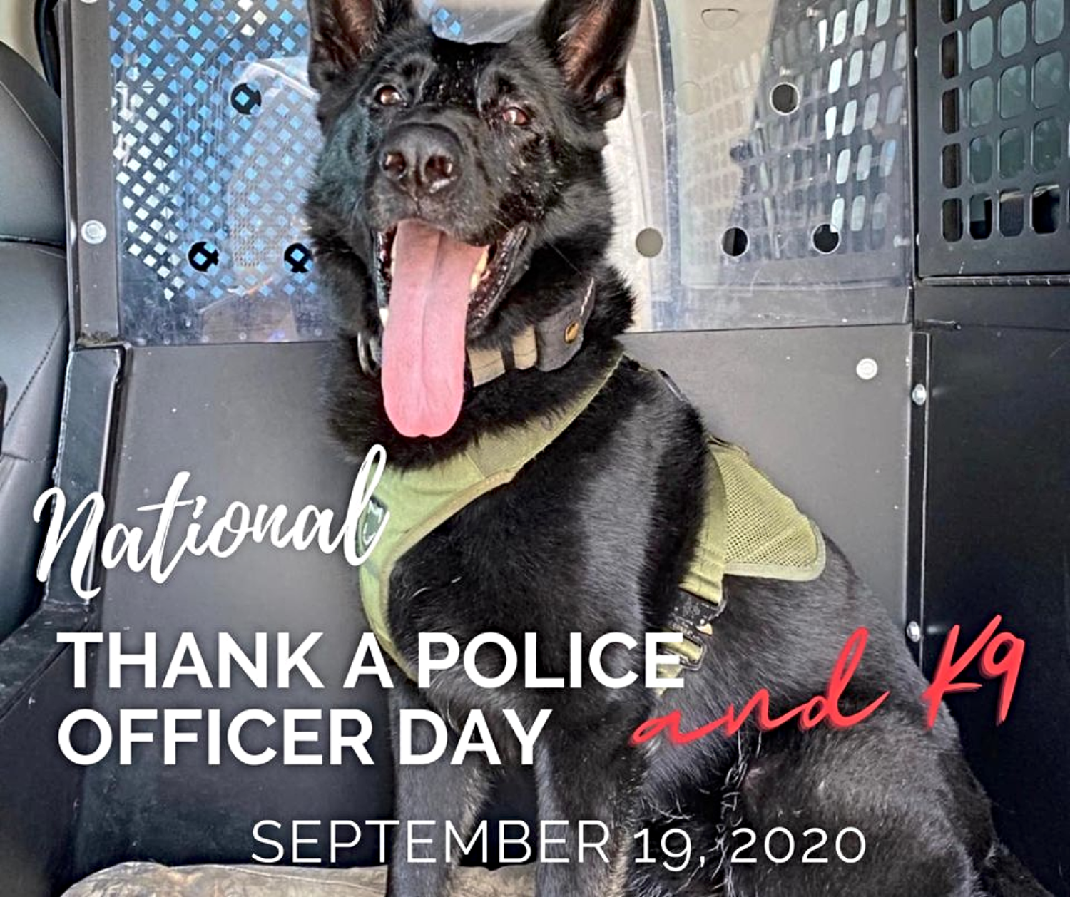 Delmarva Supports Law Enforcement Signs, Images and Graphics for