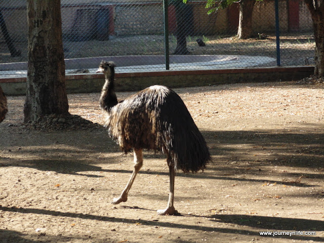 Gulbarga Government Zoo, Karnataka