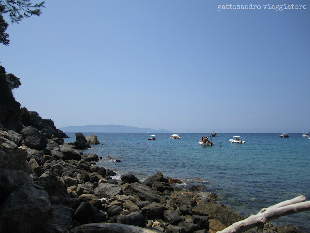 Cala di gesso