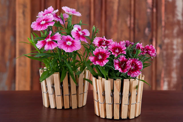 Idéias fáceis e baratas para você decorar a sua casa com flores.