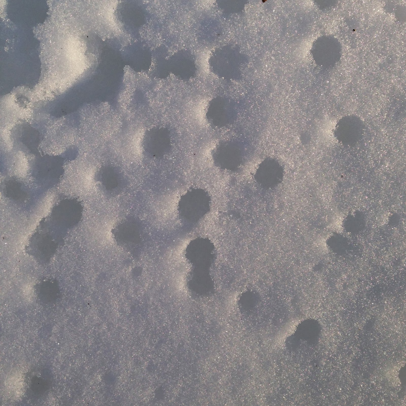 A Life Inspired by Nature: Abstract snow