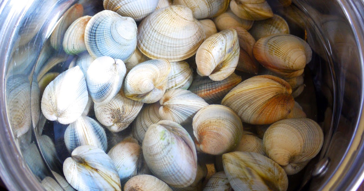 Nettoyer, dessabler, des coquillages ou des moules