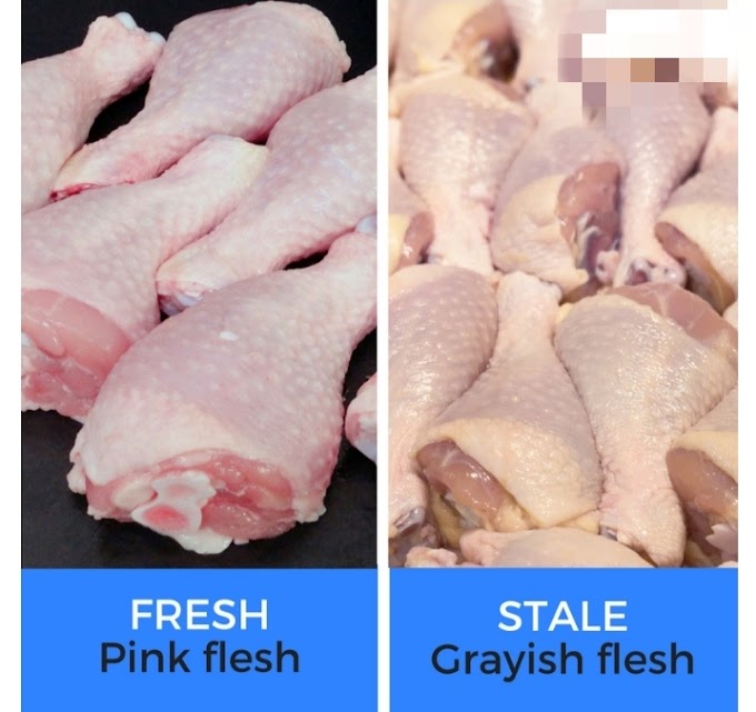 Poultry | Types Of Chicken 