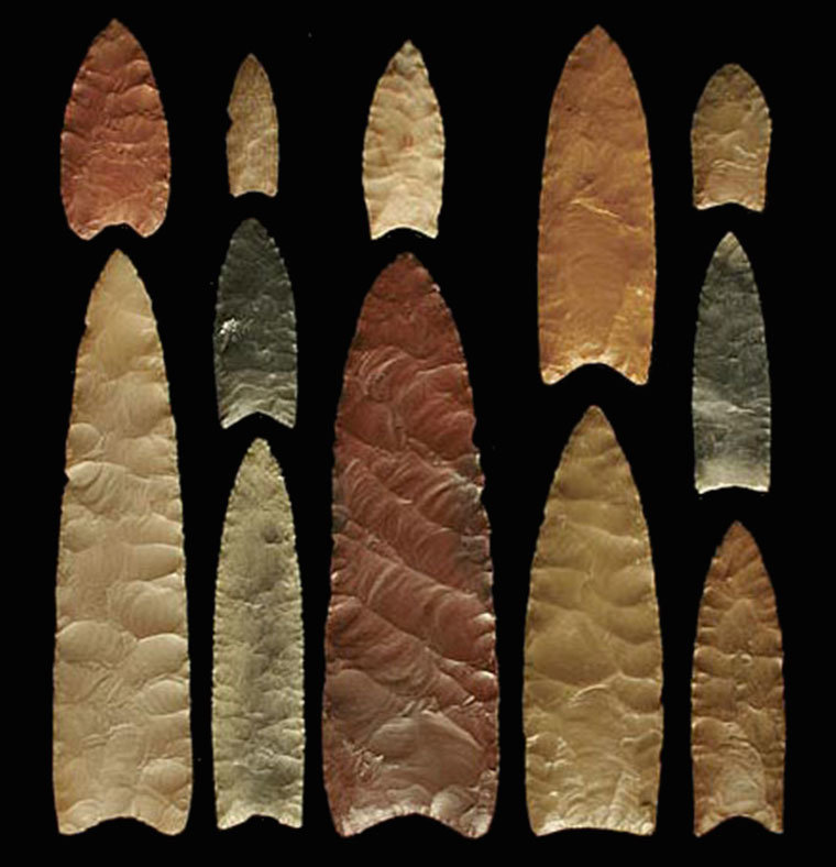 Palaeos, la historia de la Vida en la Tierra Los Clovis murieron con