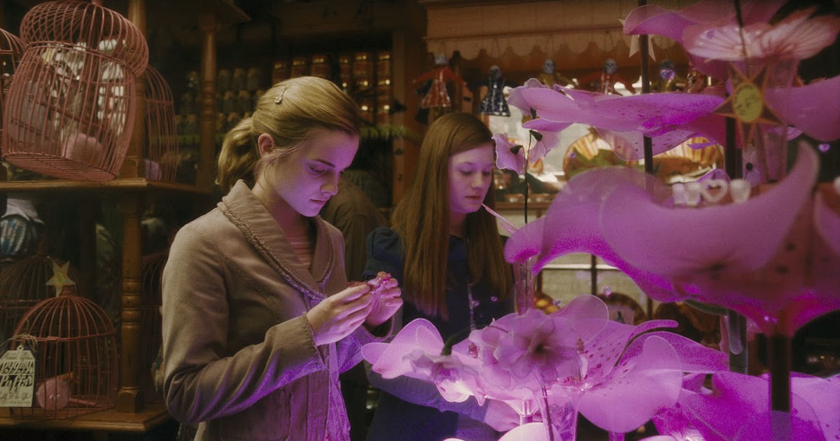 Pottermore “A poção do amor um guia para o tônico mais tóxico de
