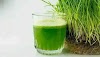  गेंहू के जवारे के 5 फायदे - wheat grass in hindi 