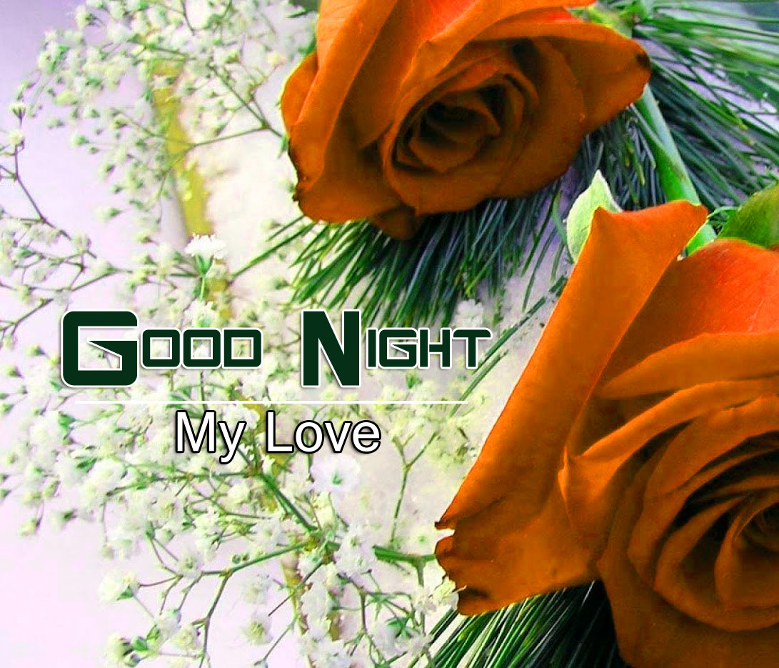 Latest Beautiful Good Night Wallpaper Free Download ...