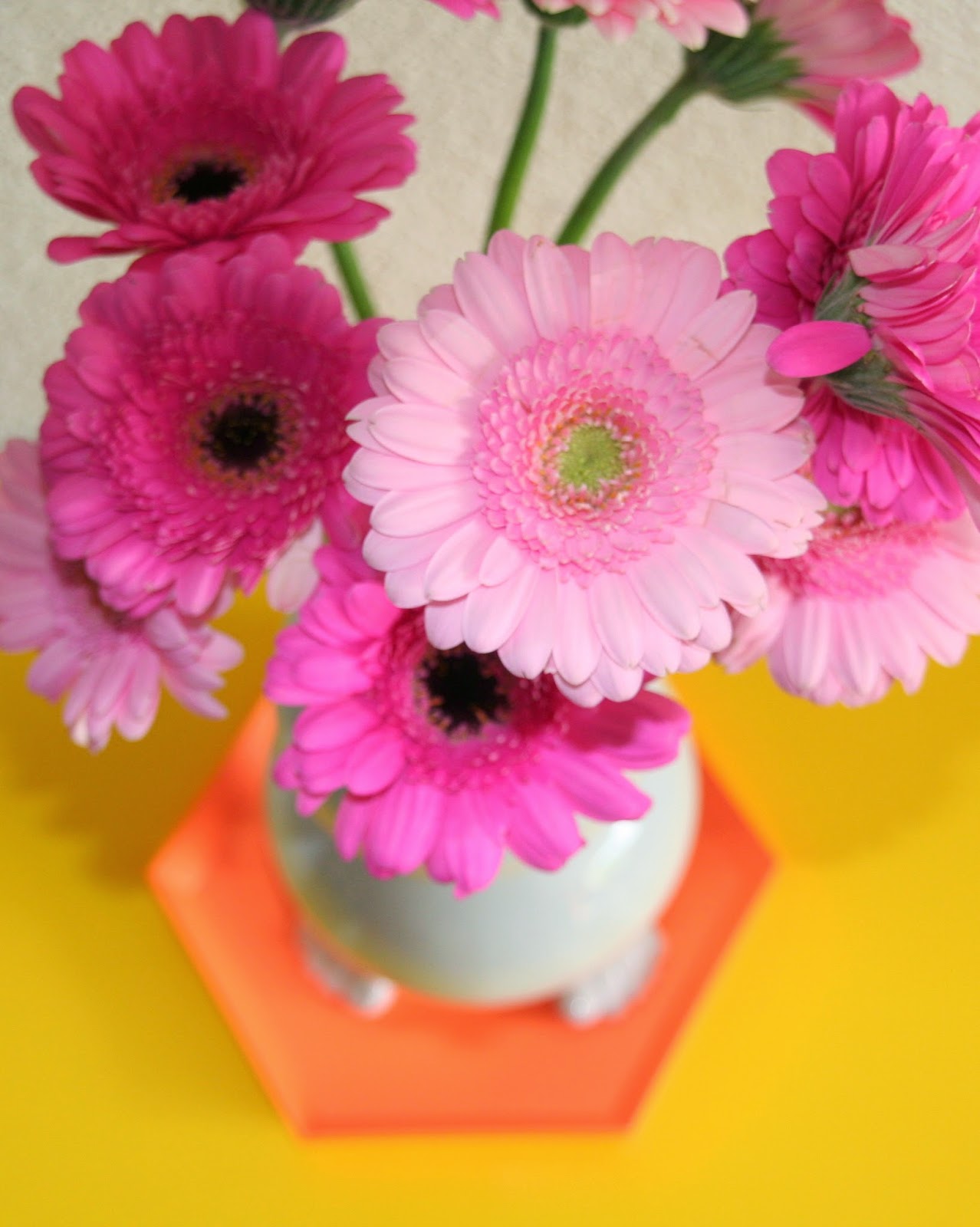 Annabel Helena Blog - flowers hay kaleido