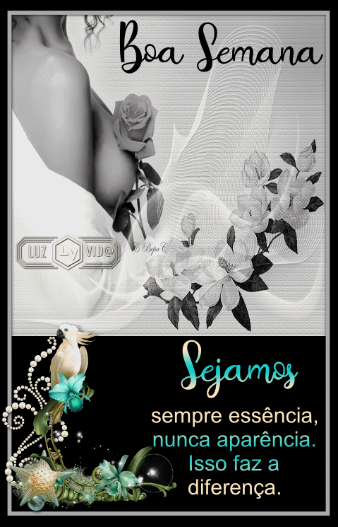 NOVO141%2B%2528MB%2529maryluz.gif