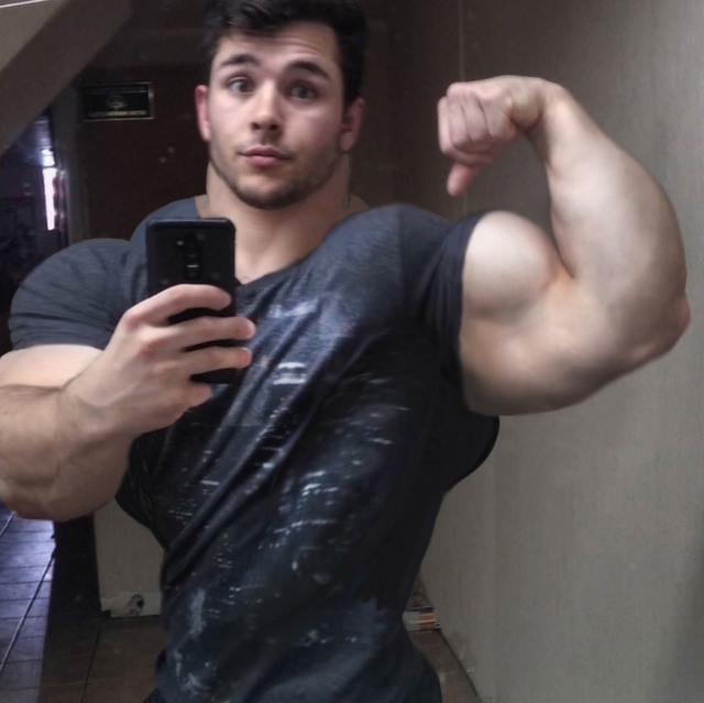 Muscle Morphs by hardtrainer01