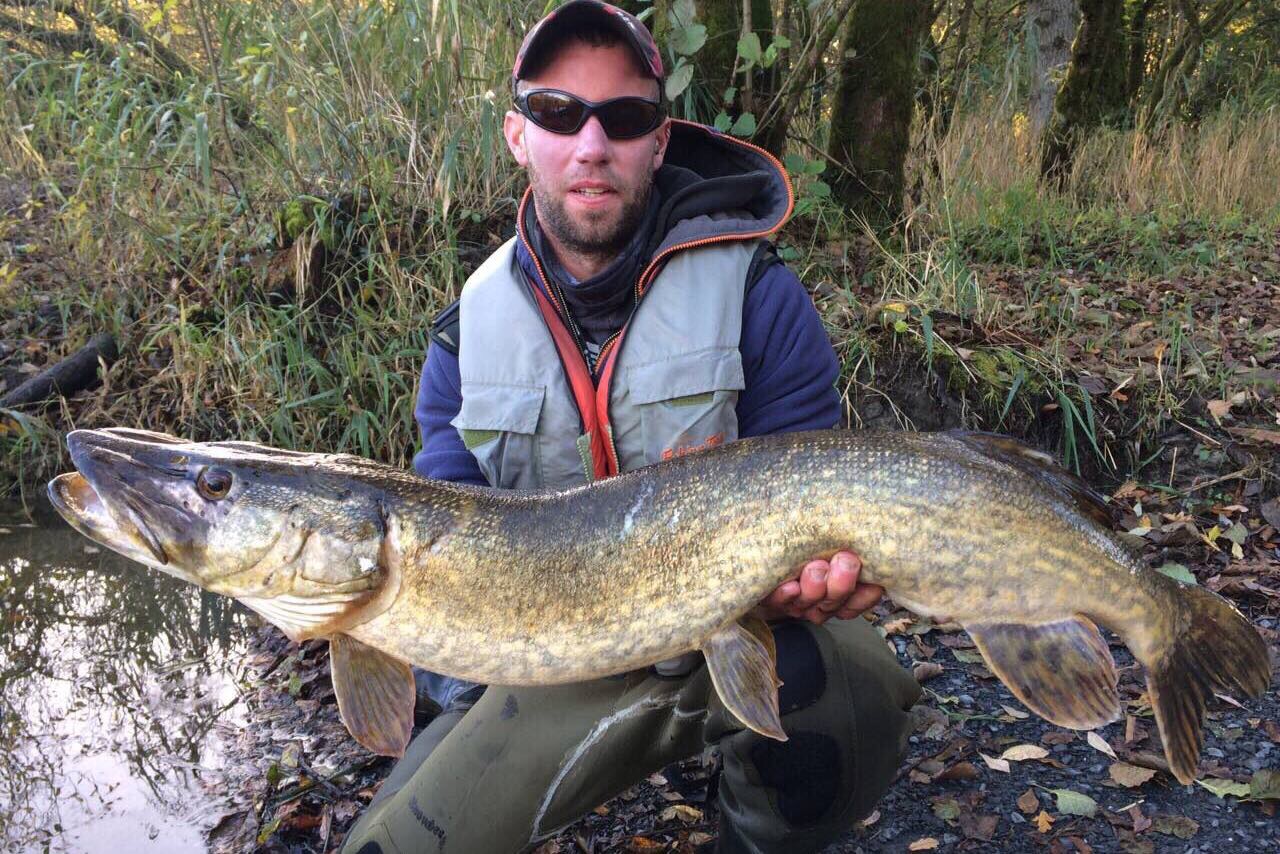 Fishingmegastore Fish of the Month Entry November 2016 Ronans Pike!