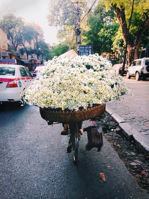 #blog #bemestar #wellness #flowers #lifestyle #estilodevida