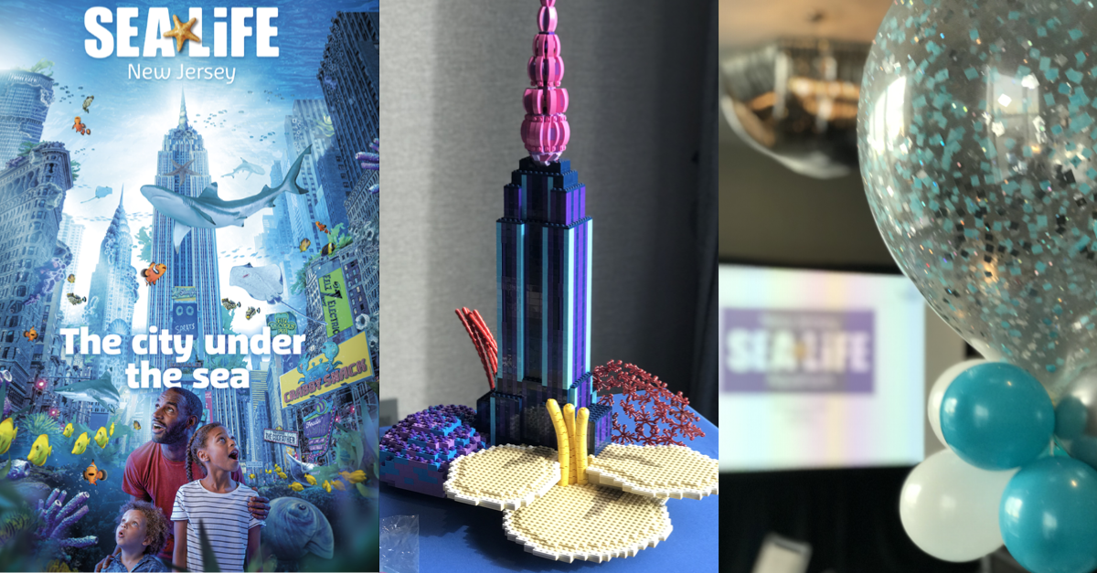 New Jersey SEA LIFE Aquarium Opening at American Dream! The Jersey Momma